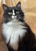 Margo (35)